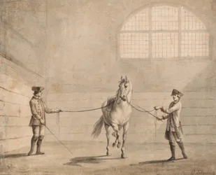 Tattersalls Training School
